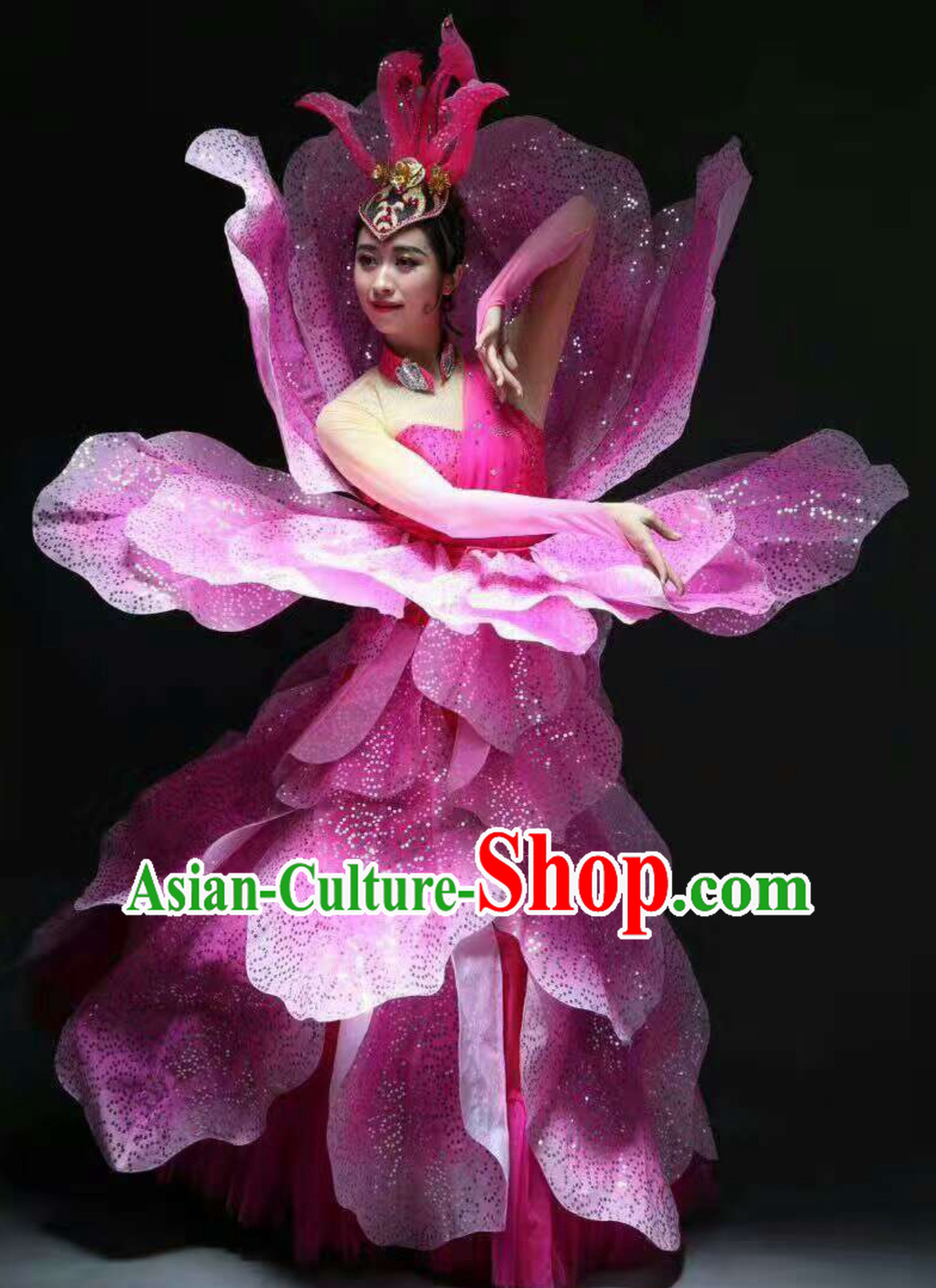 Chinese Classical Flower Dance Costume Dancing Costumes and Headpieces Complete Set for Women