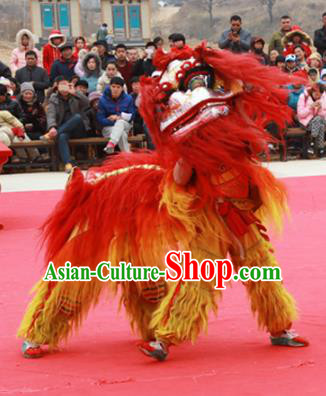 Chinese Traditional Parade Red Long Wool Lion Head Professional Lion Dance Costumes Complete Set