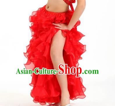 Traditional Indian Belly Dance Red Skirts Asian India Oriental Dance Costume for Women