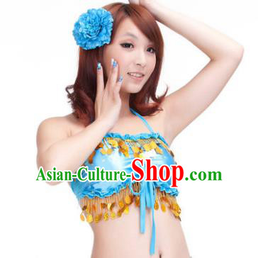 Indian Belly Dance Blue Garter Brassiere Asian India Oriental Dance Costume for Women