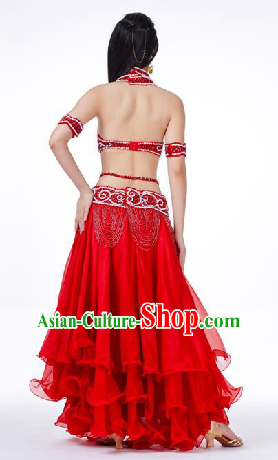 Traditional Asian Indian Belly Dance Costume Stage Performance India National Dance Dress Accessories Belts for Women