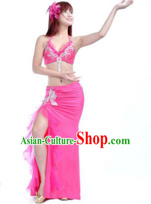 Traditional Indian Stage Oriental Dance Rosy Dress Belly Dance Costume for Women