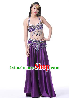 Indian Oriental Belly Dance Performance Costume Traditional Raks Sharki Dance Purple Dress for Women
