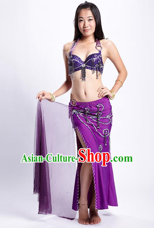 Top Grade Performance Clothing Belly Dance Purple Dress Indian Oriental Dance Costume for Women