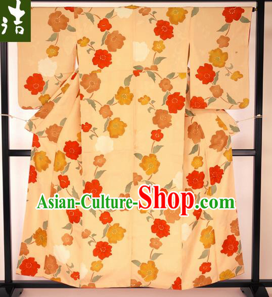 Traditional Asian Japan Clothing Japanese Fashion Apparel Kimono Costume