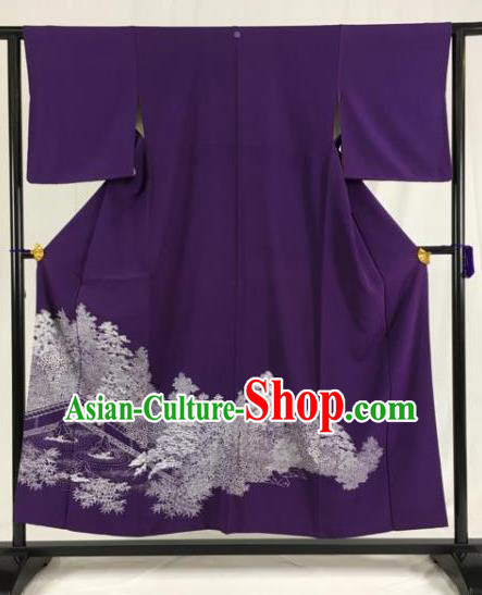 Traditional Asian Japan Clothing Japanese Fashion Apparel Kimono Costume