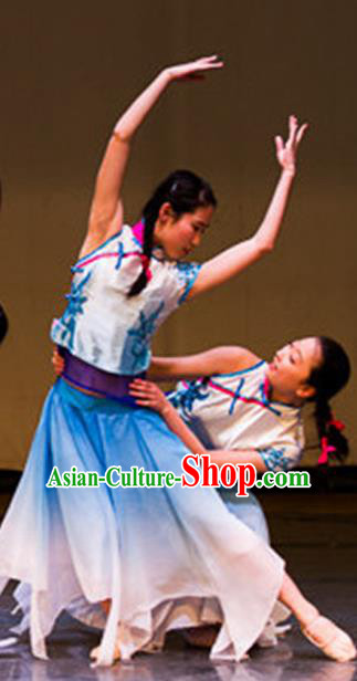 Top Grade Children Folk Dance Costume Blue Dress, Professional Yangko Dance Classical Dance Clothing for Kids