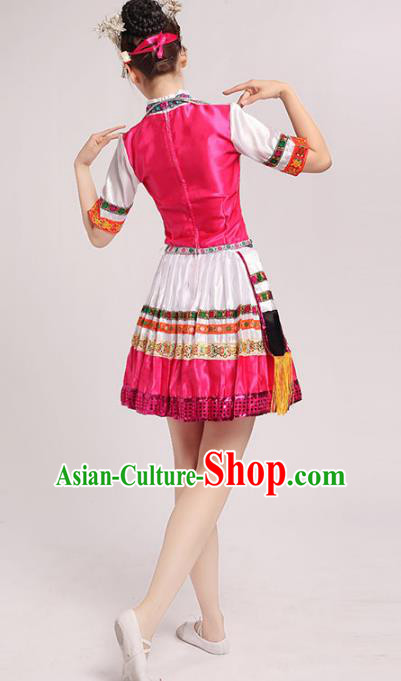 Traditional Chinese Yangge Fan Dance Folk Dance Costume Classical Yangko Dance Modern Dance Dress Halloween Clothing