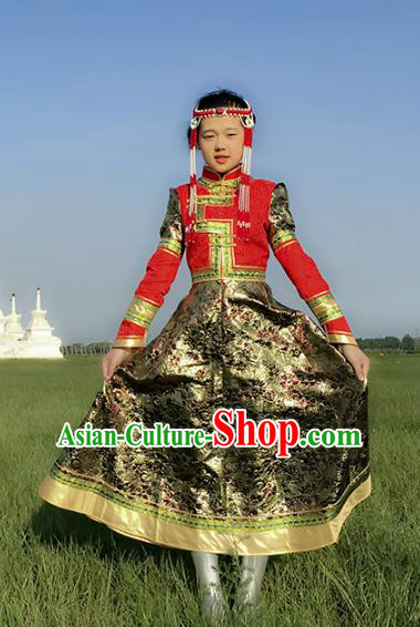 Chinese Traditional Mongol Nationality Female Ethnic Costume, Mongolian Folk Dance Mongolian Robe for Women