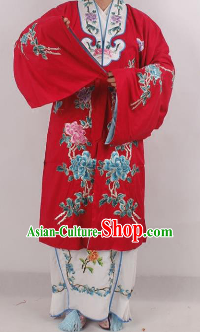Traditional China Beijing Opera Costume Gifted Scholar Embroidered Robe and Hat Ancient Chinese Peking Opera Embroidery Clothing