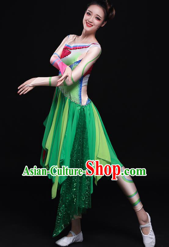 Traditional Chinese Fan Dance Folk Dance Costume Classical Yangko Dance Classical Dance Dress