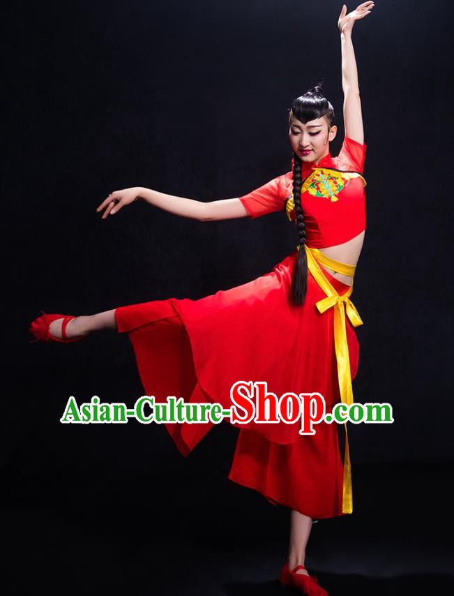 Traditional Chinese Fan Dance Folk Dance Costume Classical Yangko Dance Classical Dance Dress