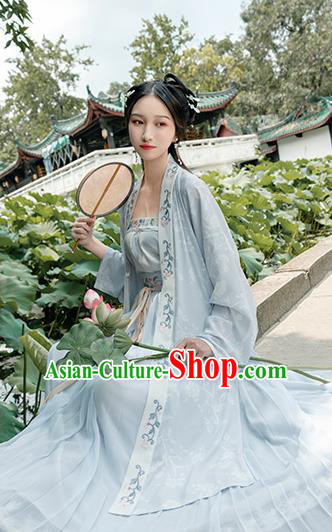 Chinese Traditional Song Dynasty Young Lady Costume Ancient Embroidered Hanfu Dress for Women