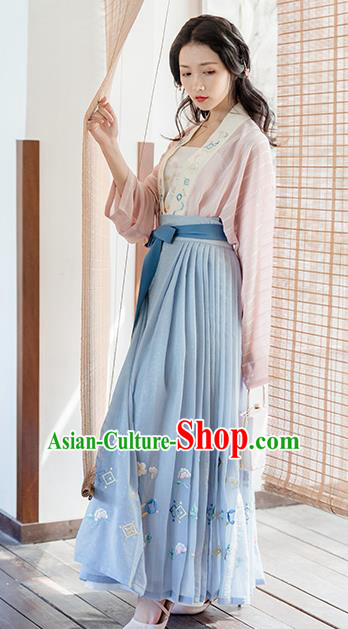 Traditional Chinese Song Dynasty Young Lady Costumes Ancient Embroidered Hanfu Dress for Women