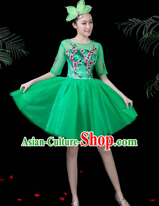 Traditional Chinese Fan Dance Folk Dance Costume Classical Yangko Dance Classical Dance Dress