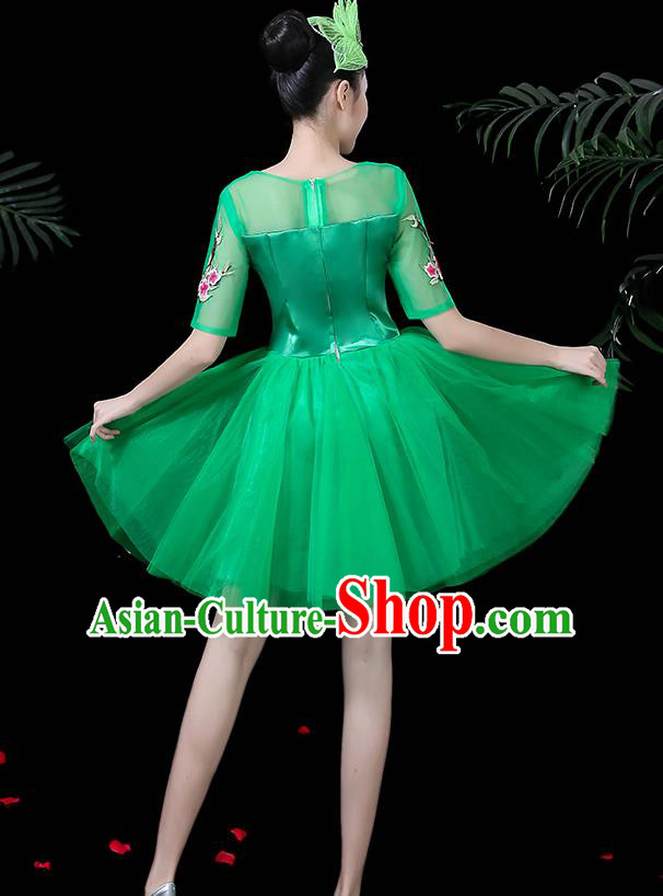 Traditional Chinese Fan Dance Folk Dance Costume Classical Yangko Dance Classical Dance Dress