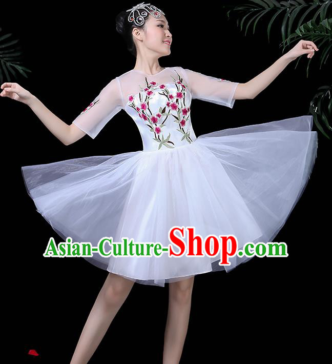Traditional Chinese Fan Dance Folk Dance Costume Classical Yangko Dance Classical Dance Dress