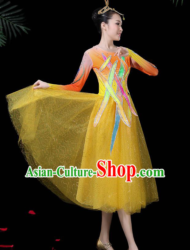 Traditional Chinese Fan Dance Folk Dance Costume Classical Yangko Dance Classical Dance Dress