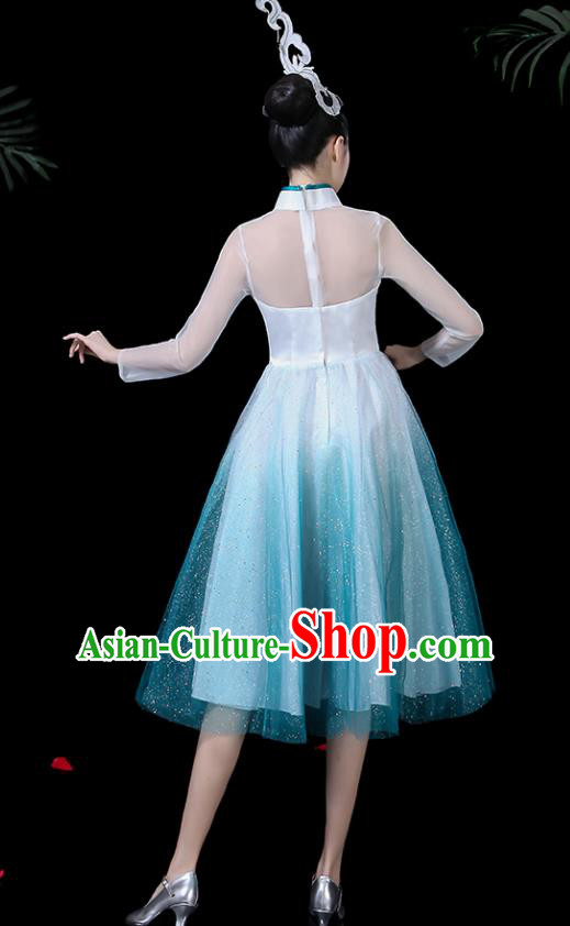 Traditional Chinese Fan Dance Folk Dance Costume Classical Yangko Dance Classical Dance Dress