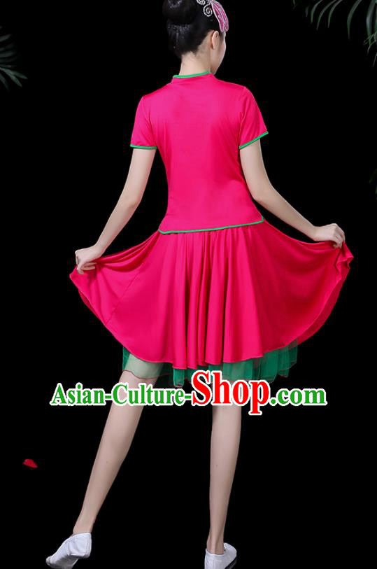 Traditional Chinese Fan Dance Folk Dance Costume Classical Yangko Dance Classical Dance Dress