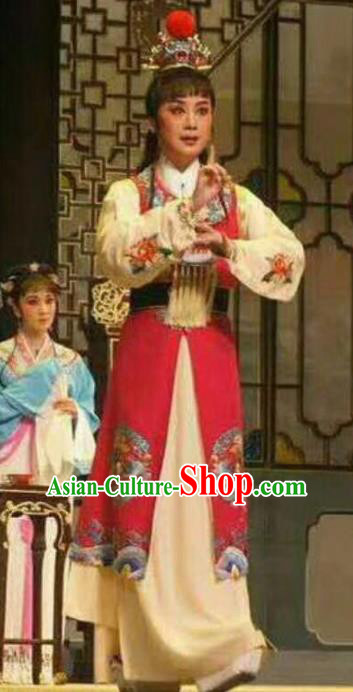 Traditional China Beijing Opera Costume Gifted Scholar Embroidered Robe and Hat Ancient Chinese Peking Opera Embroidery Clothing