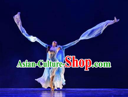 Chinese Traditional Classical Dance Costumes Umbrella Dance Water Sleeve Clothing for Women
