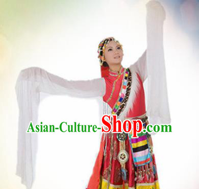 Traditional Chinese Zang Nationality Dance Costume Tibetan Ethnic Dance Stage Show Dress for Women
