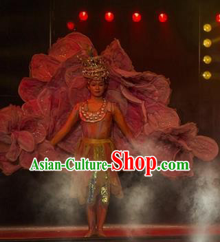 Chinese Dream Like Lijiang Ethnic Dance Dress Stage Performance Costume and Headpiece for Women