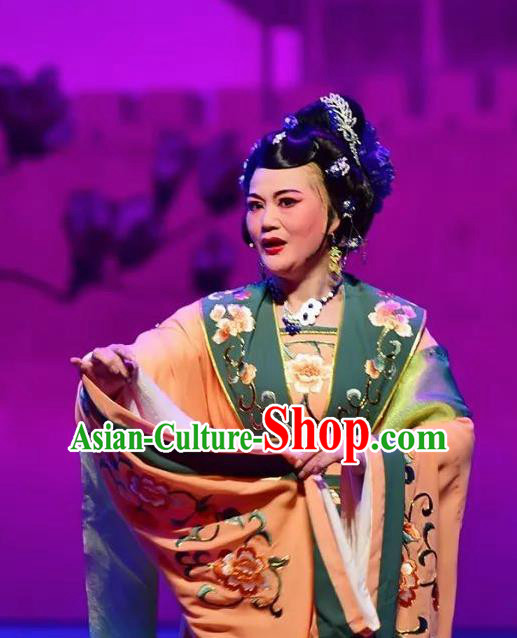 Amber Fate Chinese Beijing Opera Queen Mother Dress Stage Performance Dance Costume and Headpiece for Women