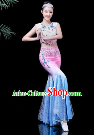 Chinese Traditional Ethnic Dance Costume Dai Nationality Peacock Dance Dress for Women