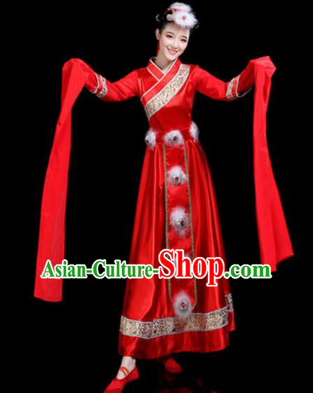 Chinese Traditional Ethnic Dance Costume Zang Nationality Folk Dance Red Dress for Women