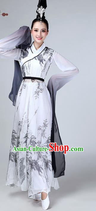 Chinese Traditional Stage Performance Dance Costume Classical Dance Water Sleeve Dress for Women