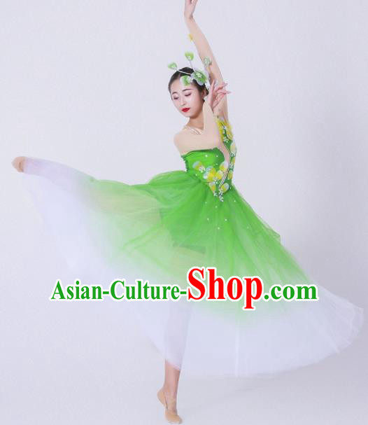 Chinese Traditional National Dance Costume Modern Dance Stage Performance Green Veil Dress for Women