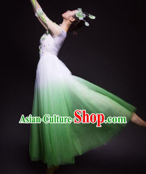 Chinese Traditional National Dance Green Veil Dress Modern Dance Stage Performance Costume for Women