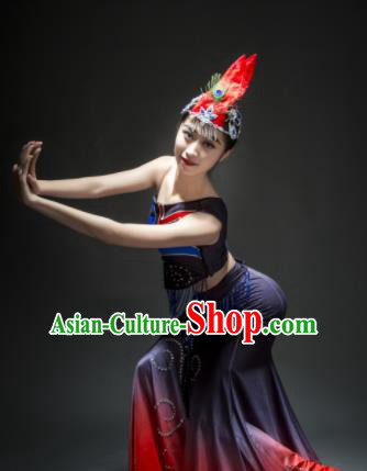 Chinese Traditional Dai Nationality Costume Ethnic Peacock Dance Dress for Women