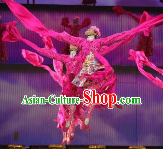 Traditional Chinese Classical Dance Cai Die Fei Wu Costume Rosy Water Sleeve Dance Dress for Women