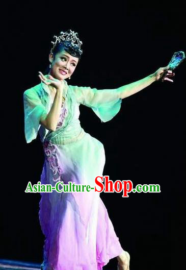 Traditional Chinese Classical Dance Dian Jiang Chun Costume Solo Ballet Dance Dress for Women