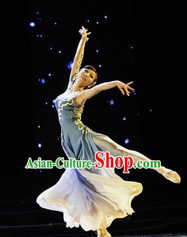 Traditional Chinese Classical Dance Que Qiao Xian Costume Ballet Stage Show Beautiful Dance Dress for Women