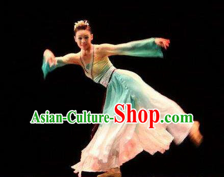 Beautiful Chinese Dance Pear Flower Dance Costume Traditional Classical Dance Dress for Women