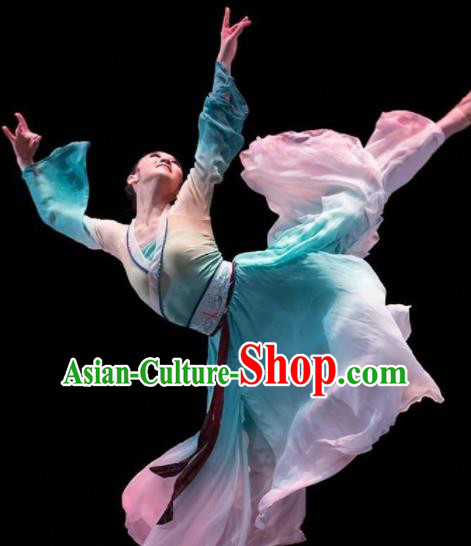 Beautiful Chinese Dance Pear Flower Dance Costume Traditional Classical Dance Dress for Women