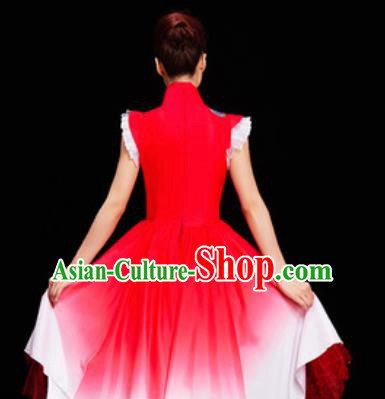 Chinese National Folk Dance Dress Traditional Classical Dance Costume for Women