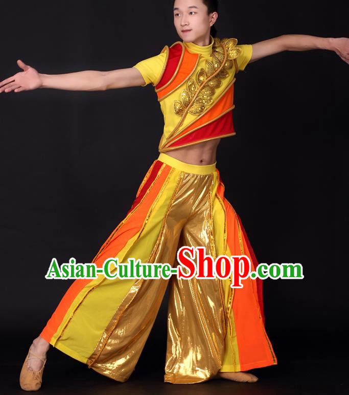 Chinese Traditional Male Dance Golden Clothing China Folk Dance Stage Performance Costume for Men