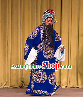 Chinese Beijing Opera Elderly Men Embroidered Robe Garment Peking Opera Judge Bao and the Qin Xianglian Case Apparels Costumes and Hat