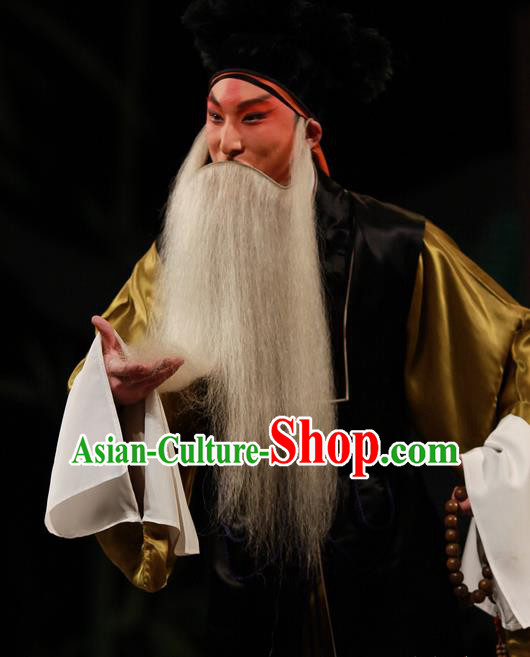 Xiu Ru Ji Chinese Kun Opera Laosheng Costumes and Headwear Kunqu Opera Elderly Male Garment Old Man Apparels