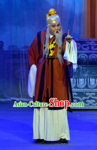 Chinese Yue Opera God of Land Apparels Pi Shan Jiu Mu Garment Shaoxing Opera Elderly Male Costumes and Headdress