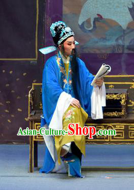Chinese Yue Opera Middle Aged Men Apparels Pi Shan Jiu Mu Garment Shaoxing Opera Costumes Liu Yanchang Embroidered Robe and Hat