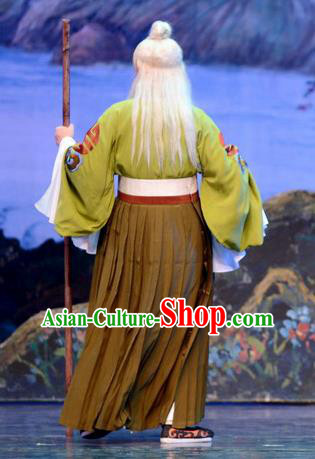 Chinese Huangmei Opera Laosheng Garment Goddess Marriage Costumes and Headwear An Hui Opera Elderly Male Apparels Old God Clothing