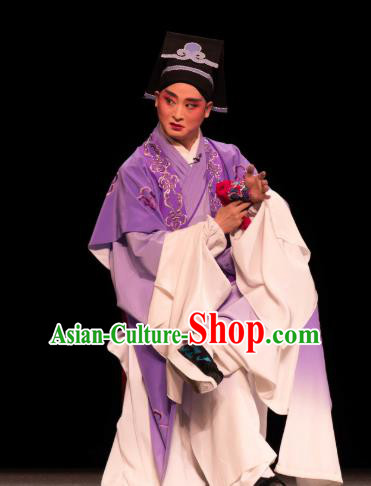 Luo Pa Ji Chinese Huangmei Opera Young Man Purple Costumes and Headwear An Hui Opera Steward Jiang Xiong Apparels Clothing