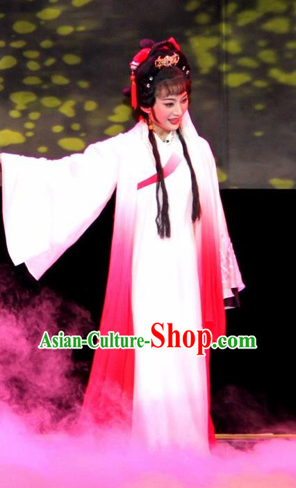 Chinese Huangmei Opera Young Lady Garment Costumes and Headpieces Su Dongpo Traditional Anhui Opera Hua Tan Dress Diva Apparels