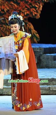 Chinese Huangmei Opera Noble Countess Garment Costumes and Headpieces Chun Jiang Yue Traditional Anhui Opera Actress Dress Apparels